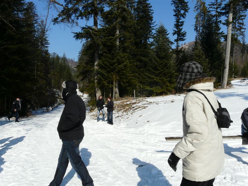 Sidzina 116
